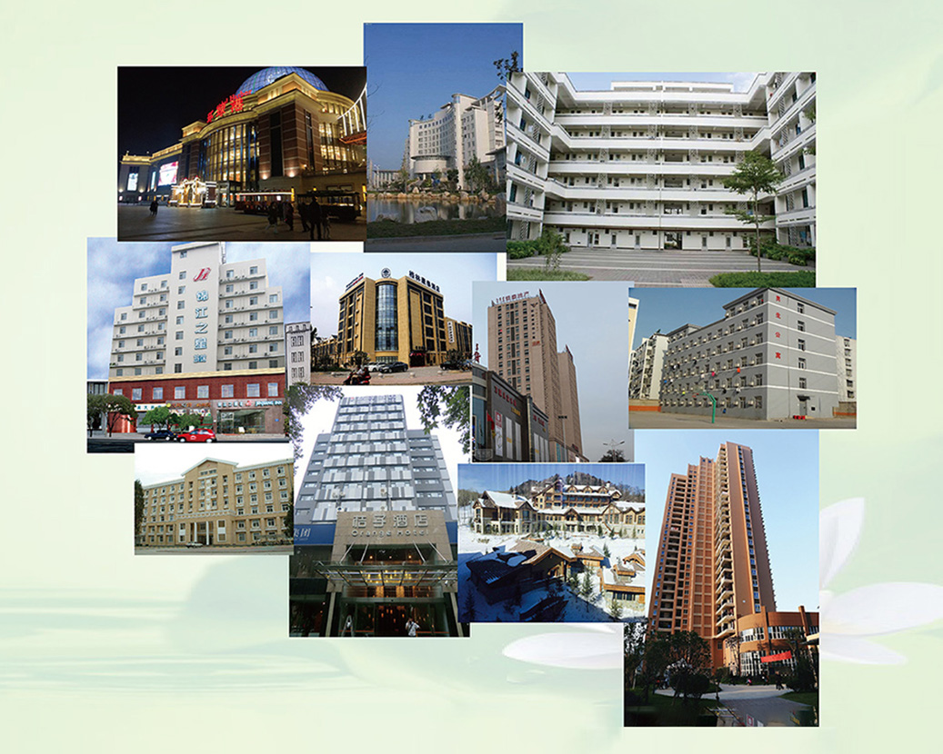 Hồ sơ trường hợp